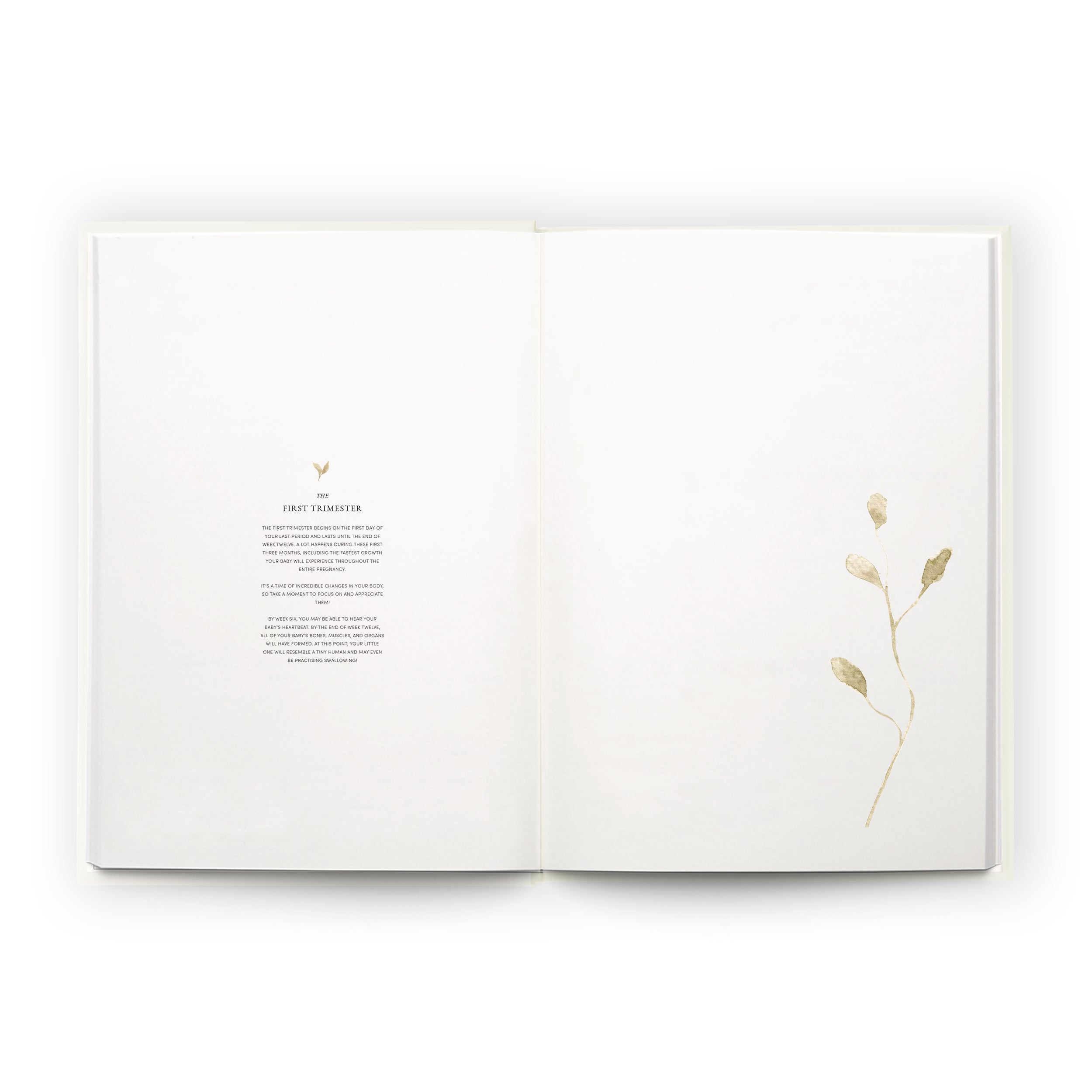 Pregnancy Journal | Bloom - Scribble & Dot