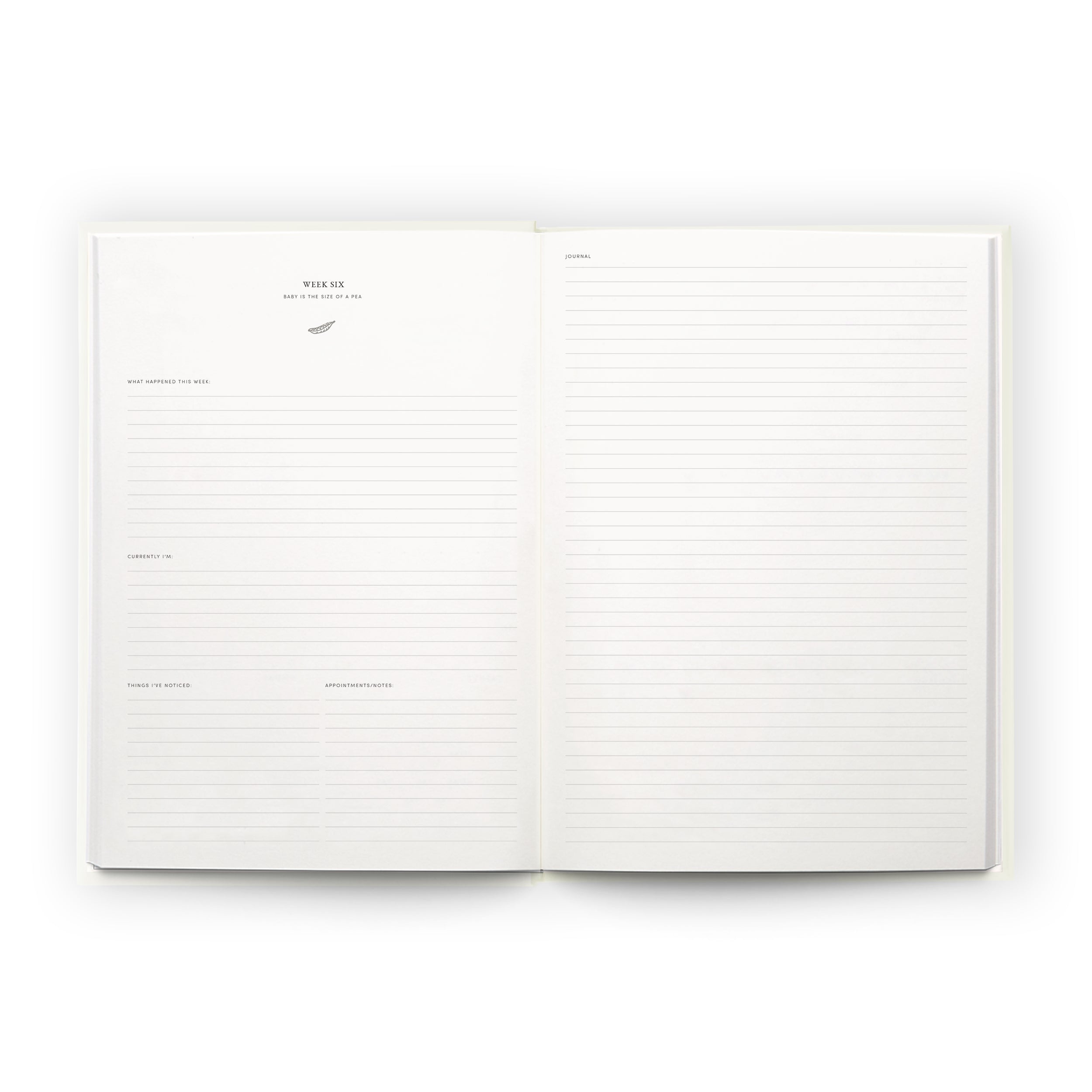 Pregnancy Journal | Bloom - Scribble & Dot