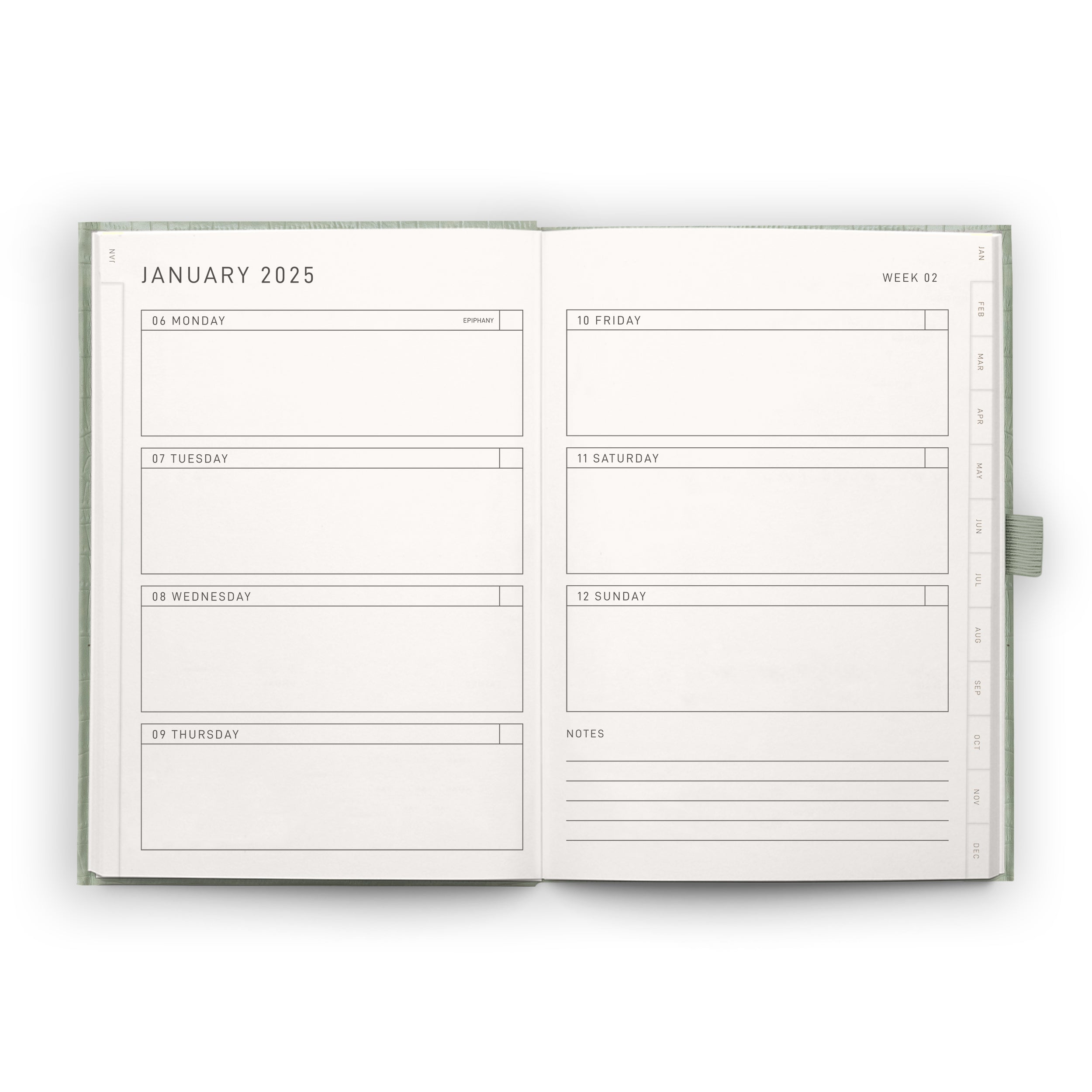 Sage Croc A5 2025 Diary - Scribble & Dot
