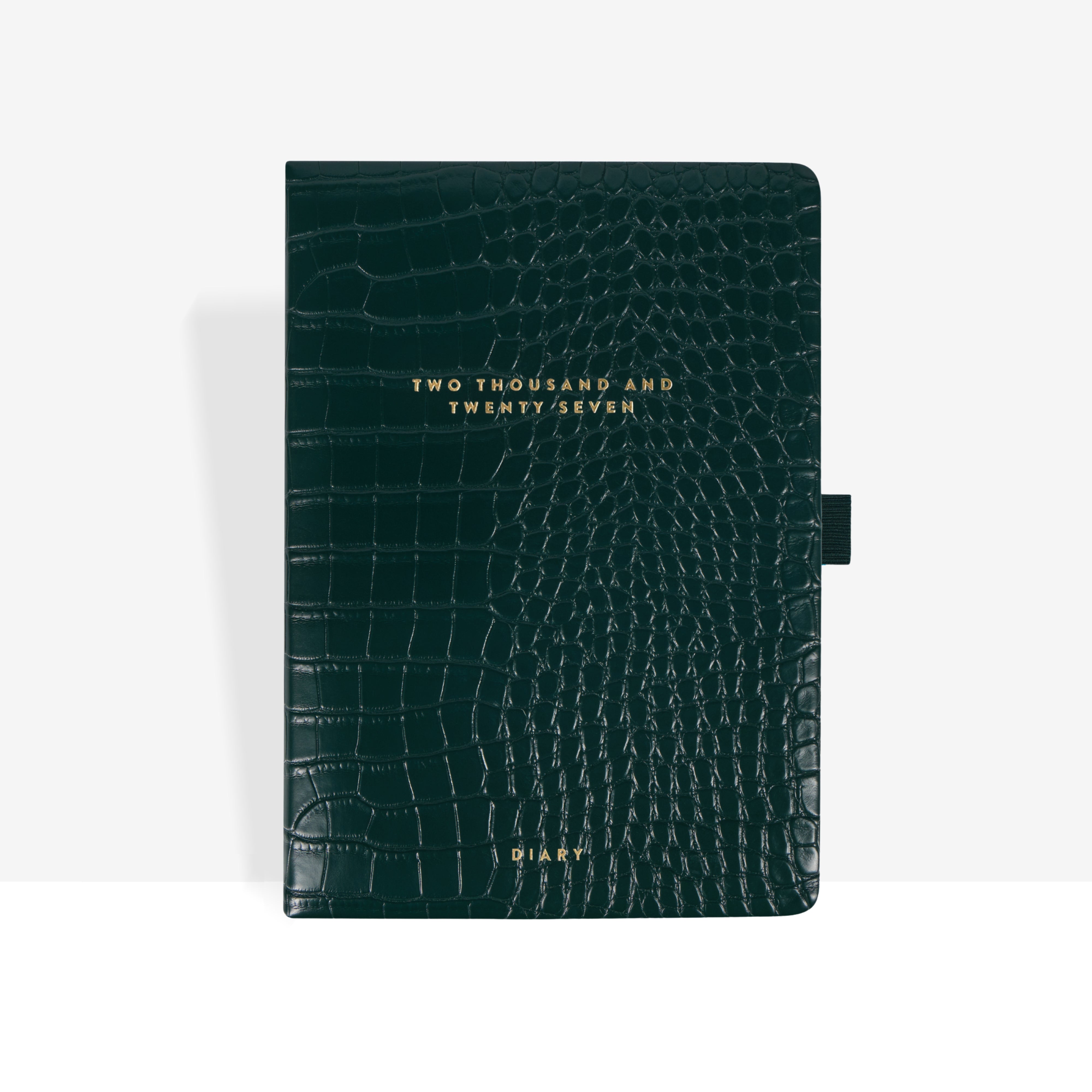 2027 Daily Diary | Emerald Croc
