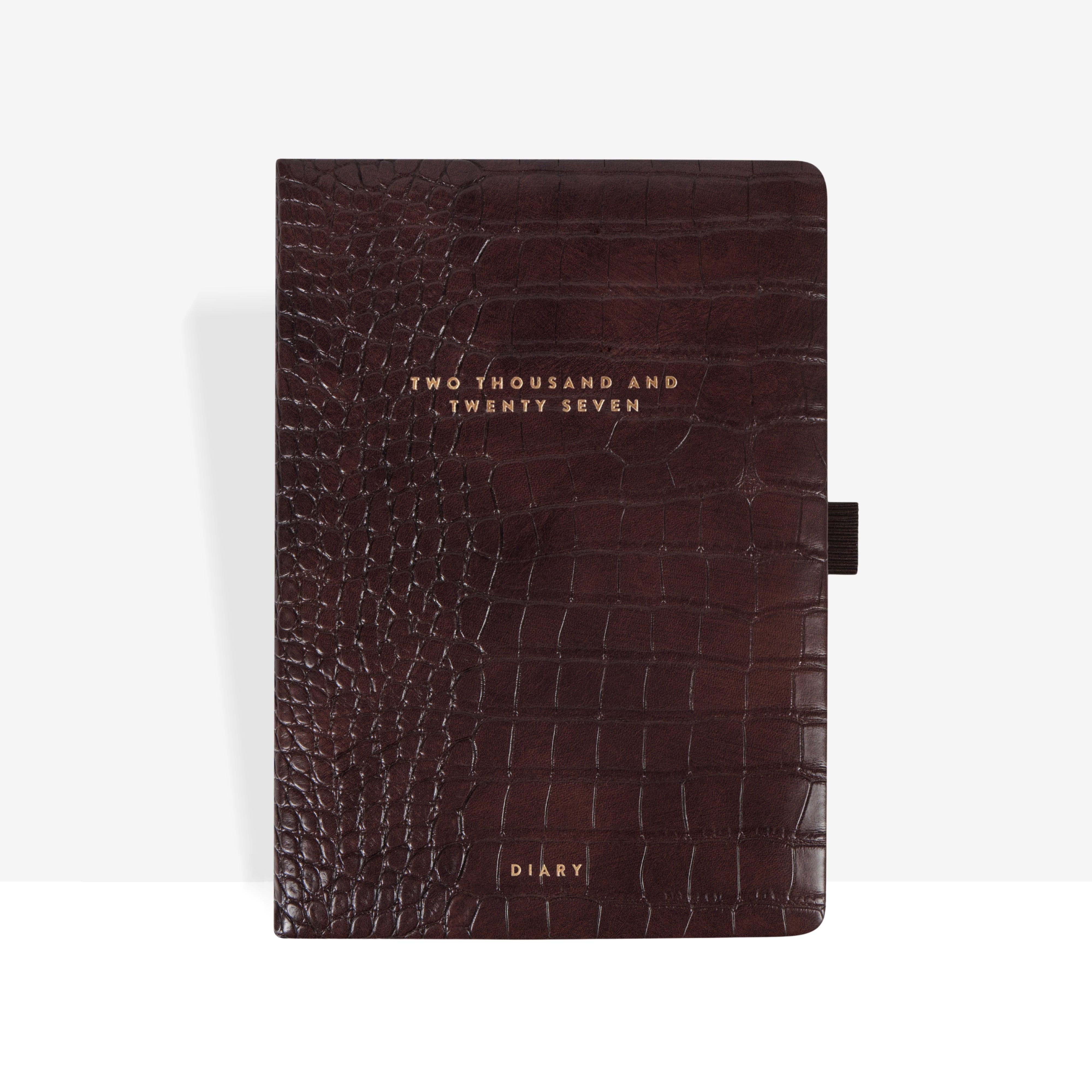 2027 Daily Diary | Espresso Croc