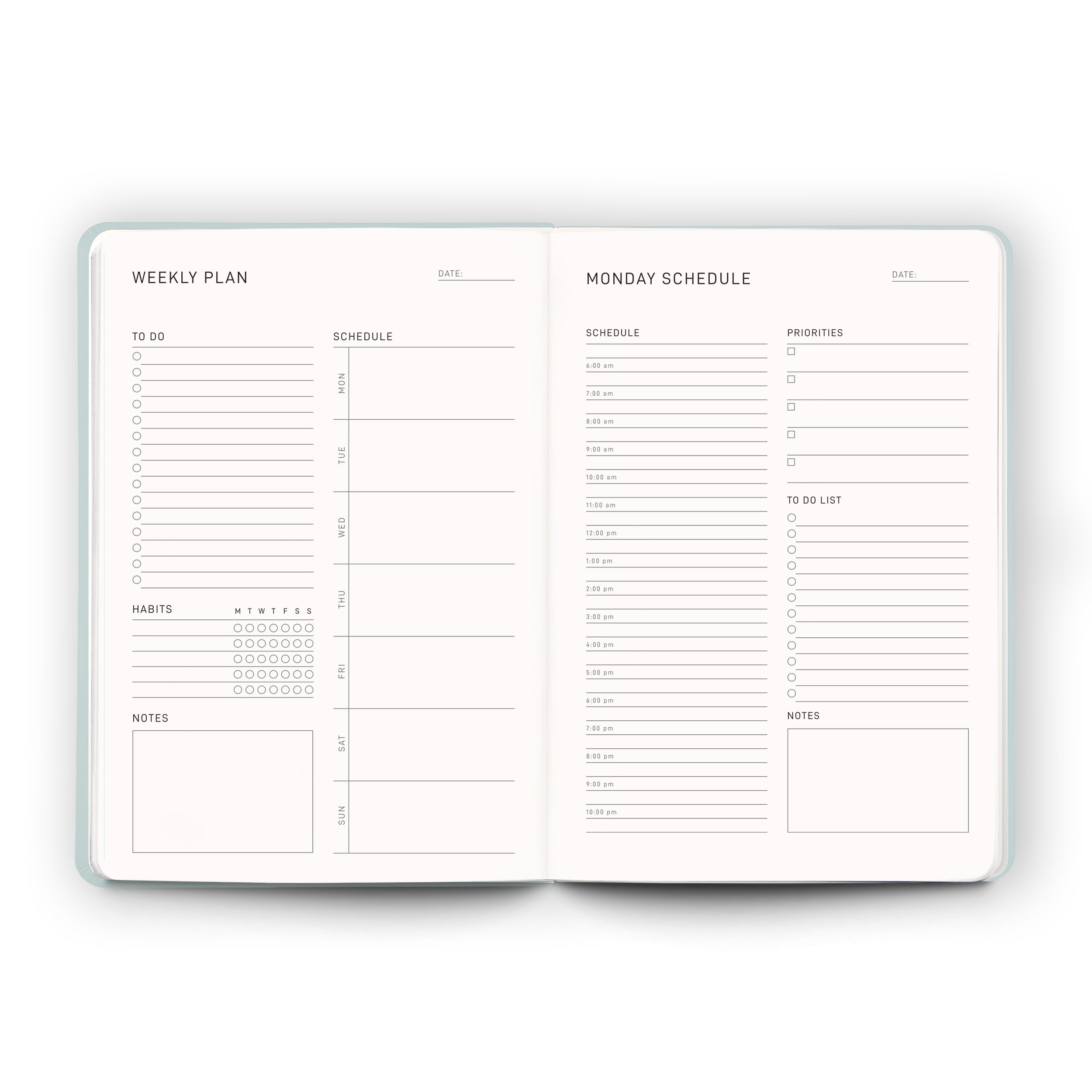 Daily Planner - Sea Sage - Scribble & Dot