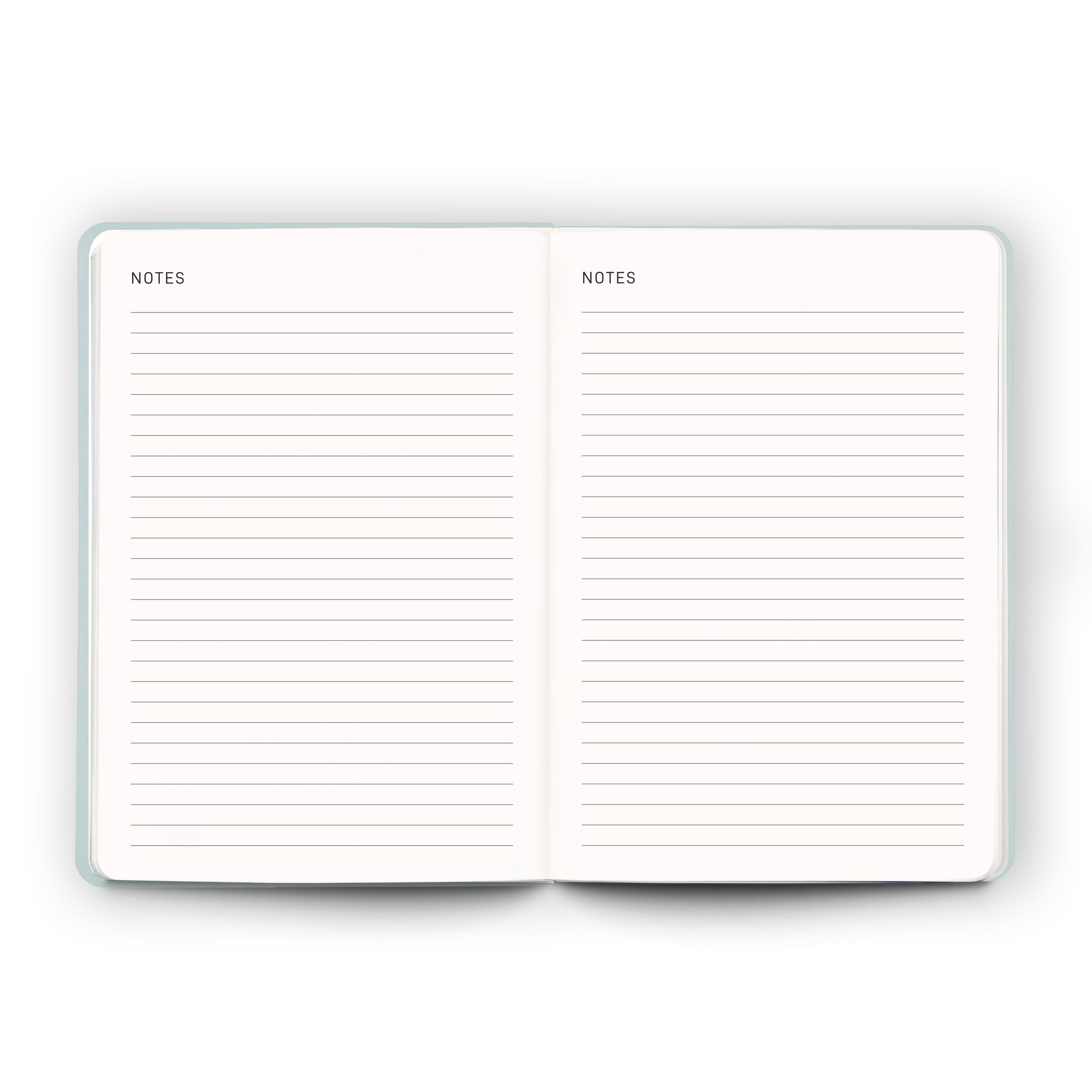 Daily Planner - Sea Sage - Scribble & Dot