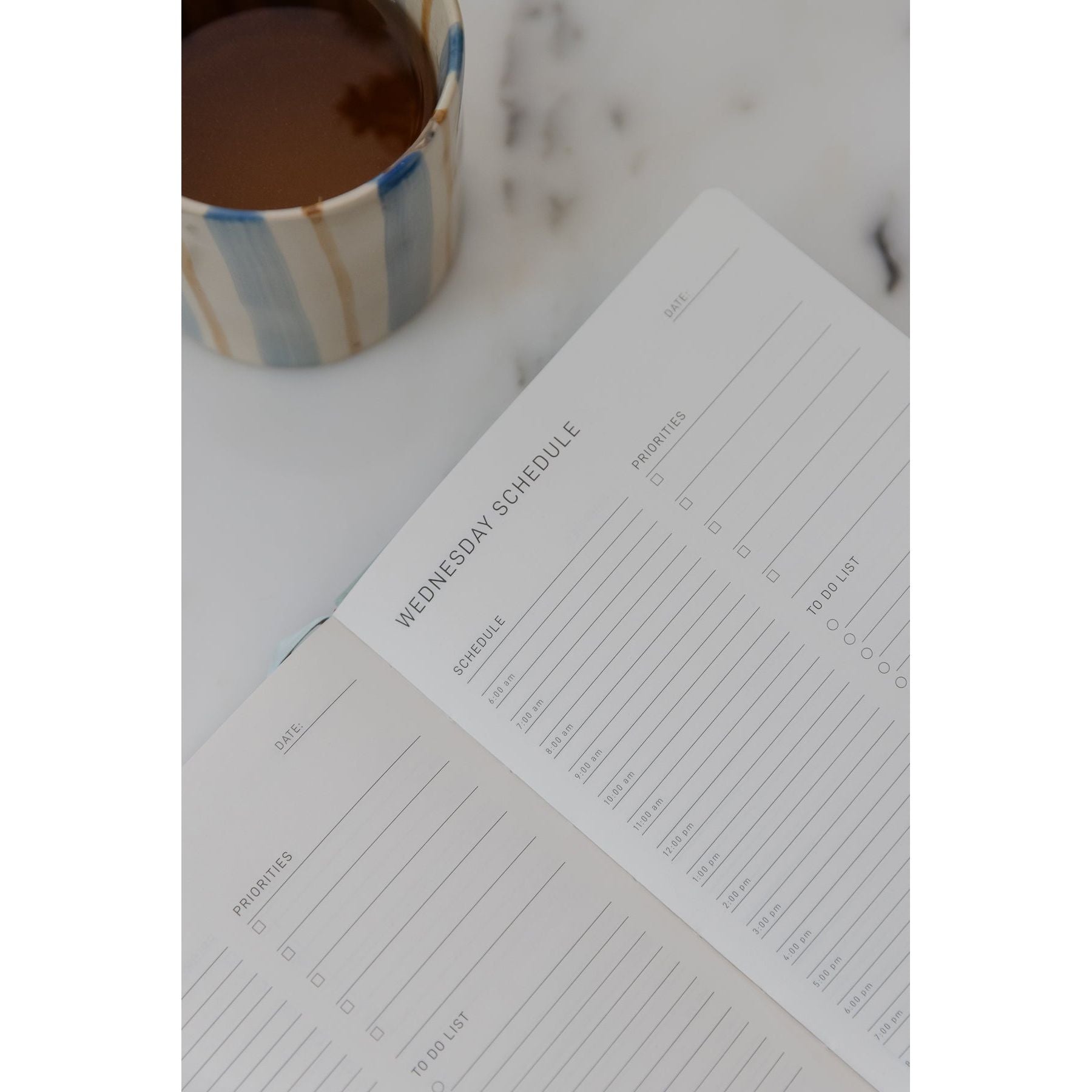 Daily Planner - Sea Sage - Scribble & Dot