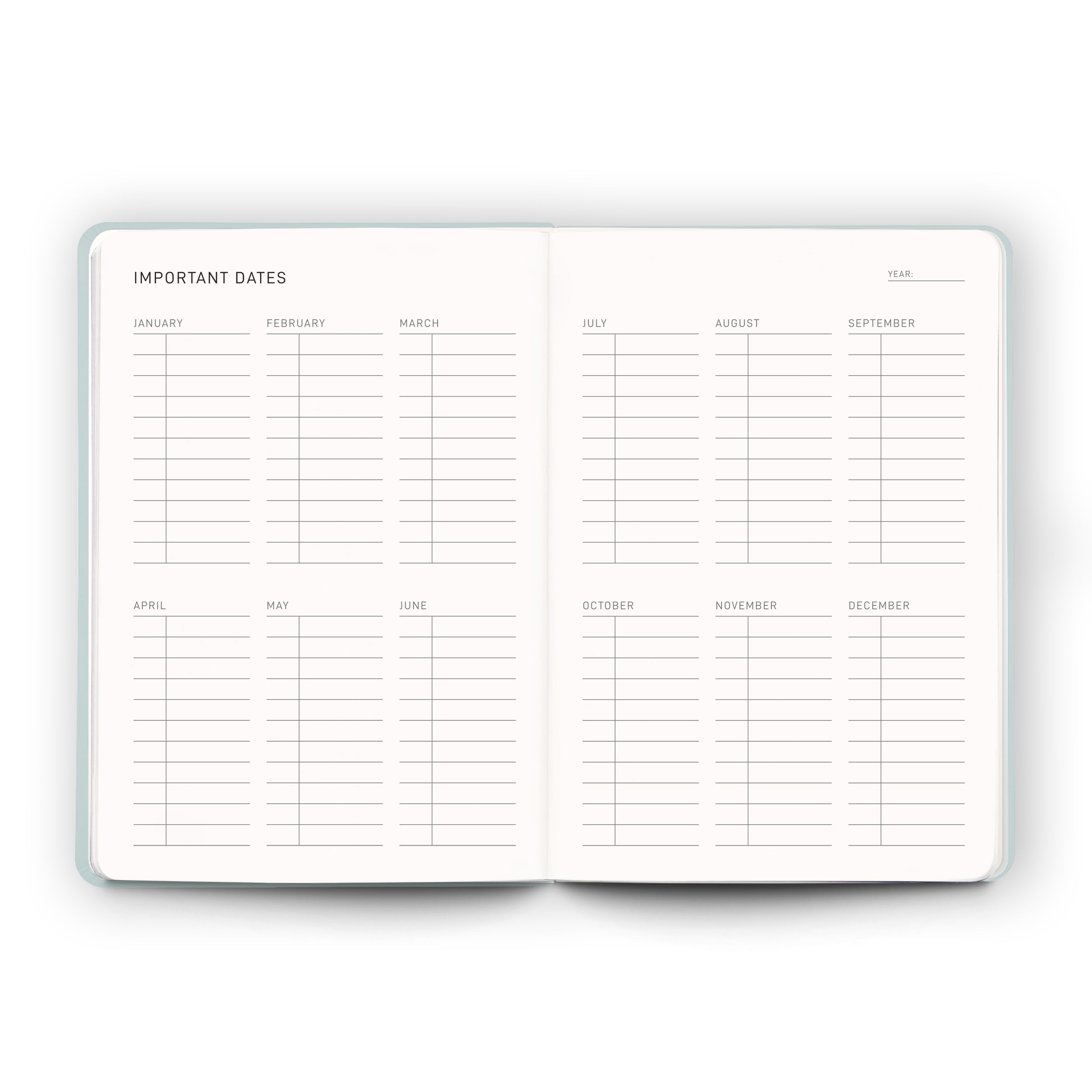 Daily Planner - Sea Sage - Scribble & Dot