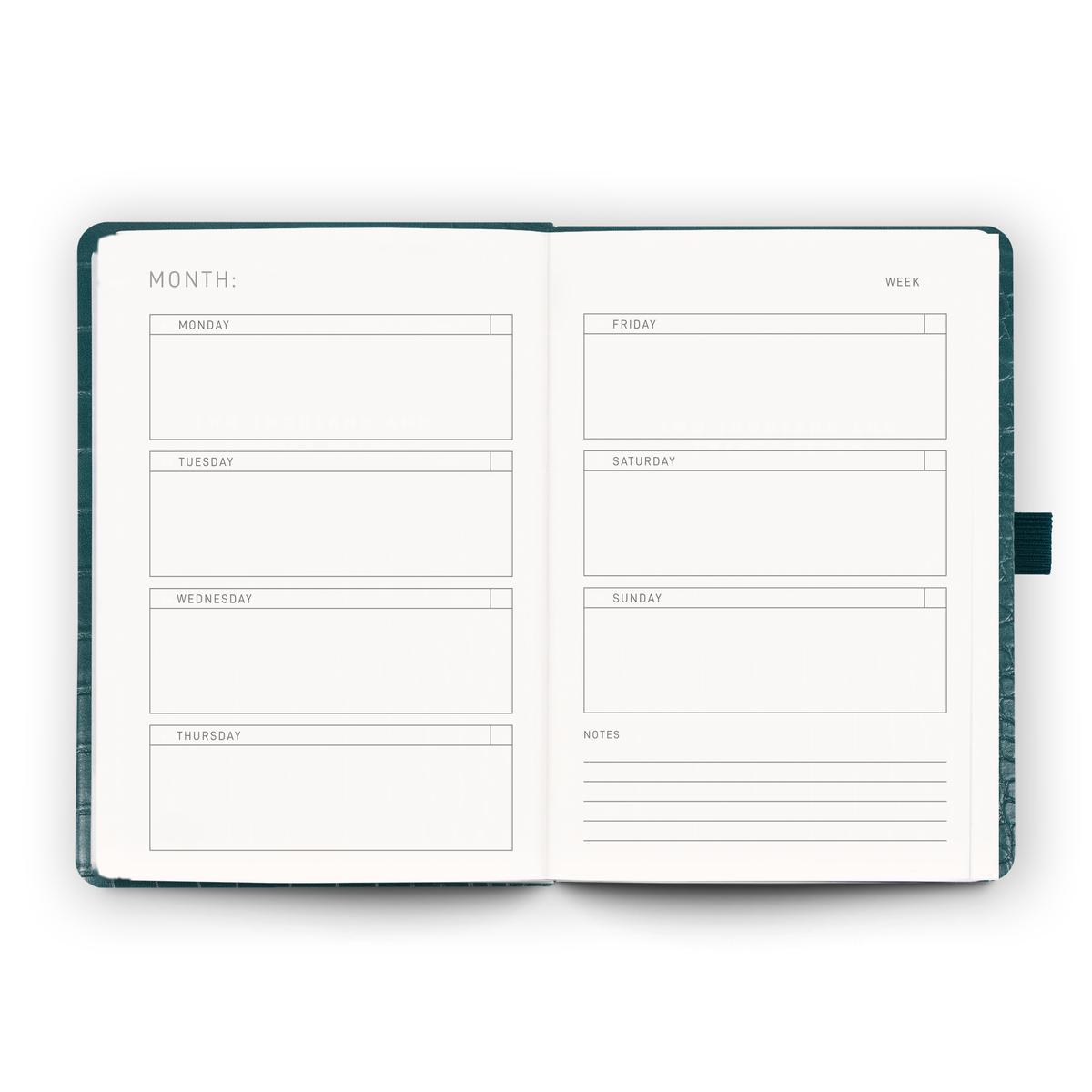 Undated Planner | Caspian Croc